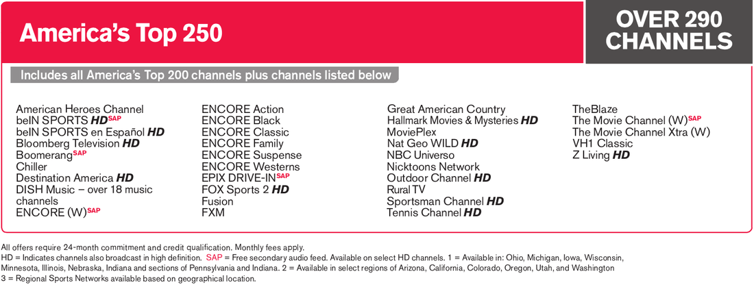 dish network packages indian channels